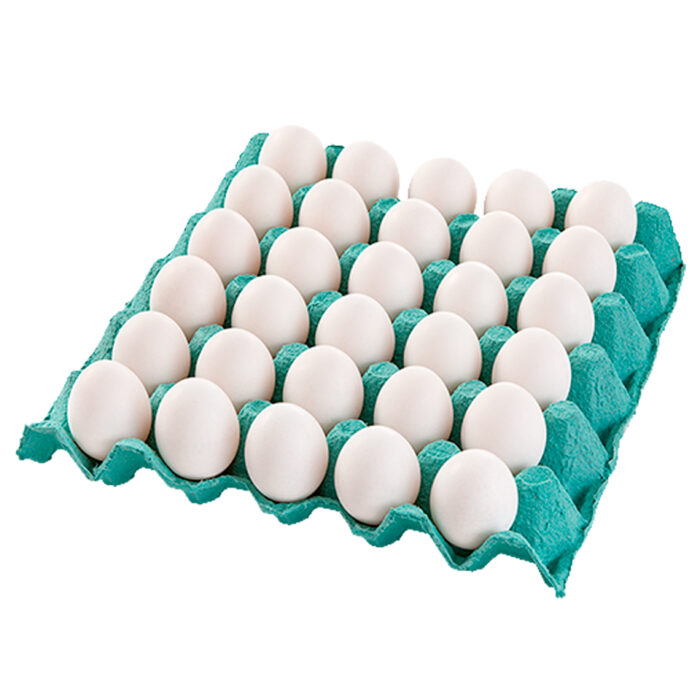 Cartela de ovo 30 un. (Extra Grande)